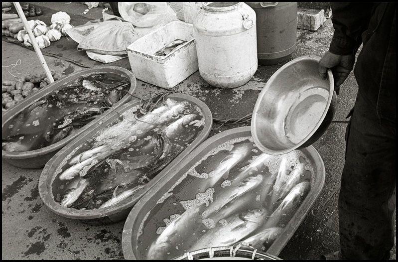 Mecato cina3 - ©copyright Marco Giardini